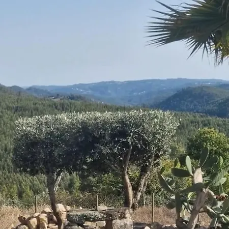 Mountain Views * Figueiro Dos Vinhos