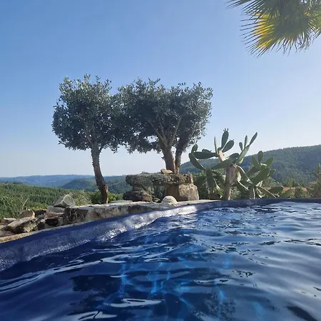 Mountain Views * Figueiro Dos Vinhos