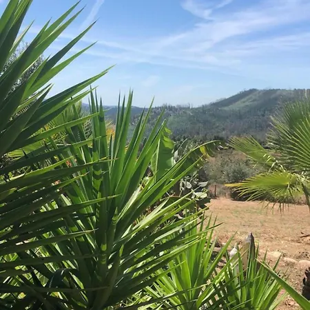 Mountain Views Figueiro Dos Vinhos